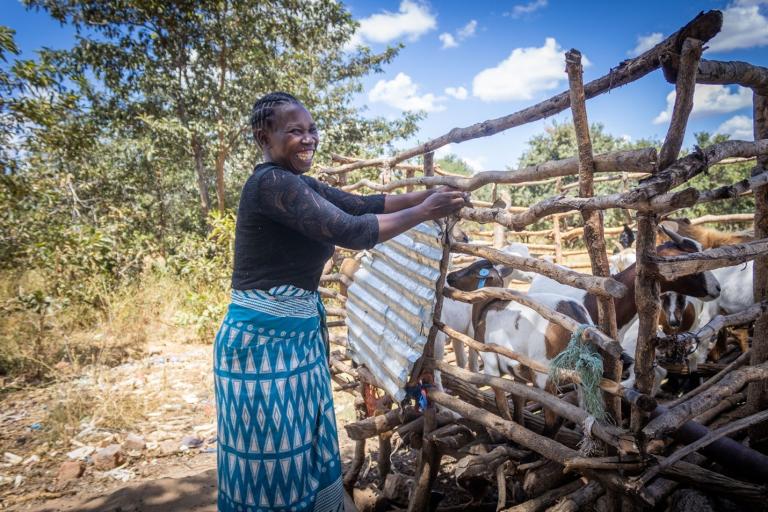 women standing next to a sheep pen